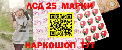 стаф Кингисепп