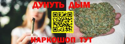 стаф Кингисепп