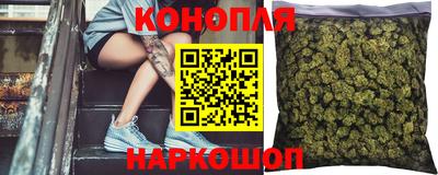 стаф Кингисепп