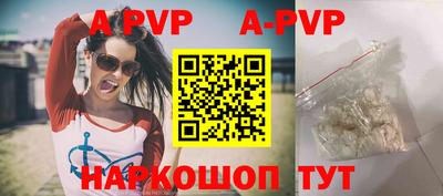 стаф Кингисепп