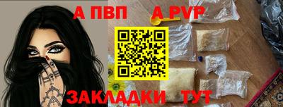стаф Кингисепп