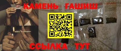 стаф Кингисепп